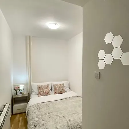 Apartment Alma Vracar *