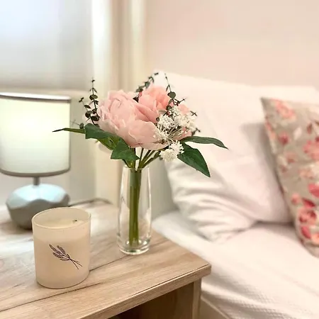 Apartment Alma Vracar