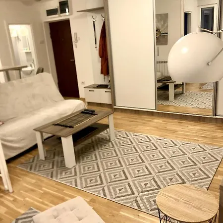 Apartment Alma Vracar *