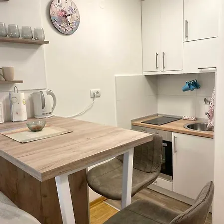 Alma Vracar Apartament *