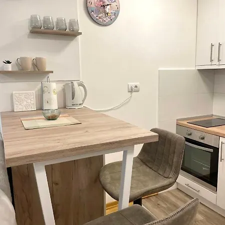 Alma Vracar Apartment Belgrade